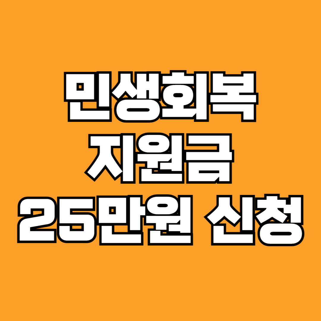 민생회복지원금 25만원