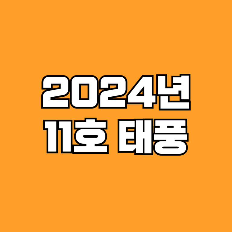 2024년 11호 태풍